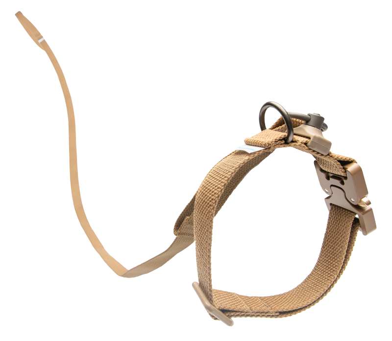 Leash and collar attached in brown